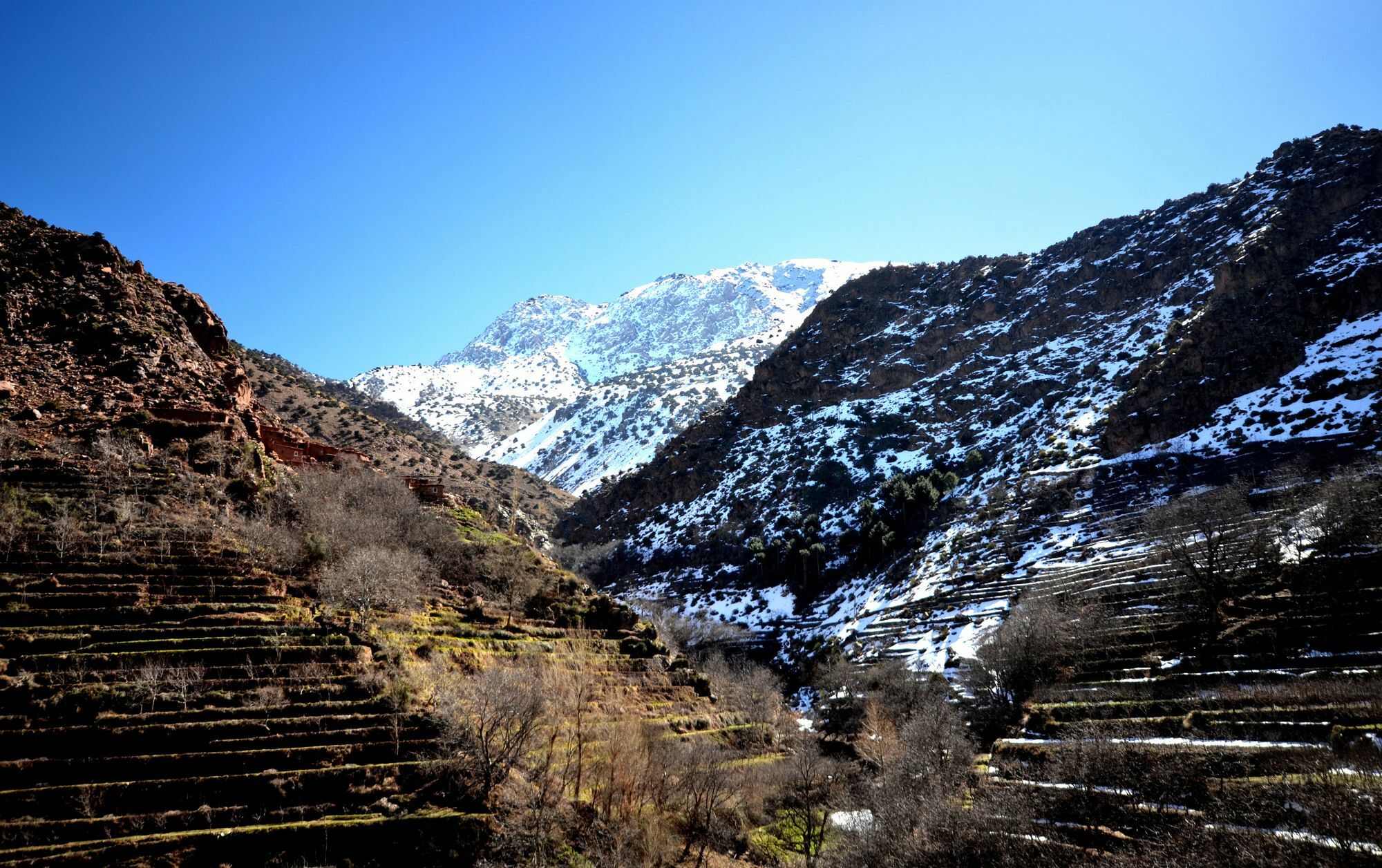 Gite Taddarine Otel Imlil  Dış mekan fotoğraf